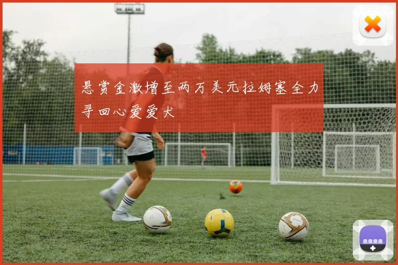 悬赏金激增至两万美元拉姆塞全力寻回心爱爱犬